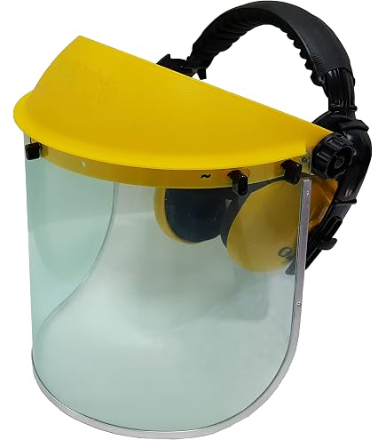 Replacement Face Shield, 8